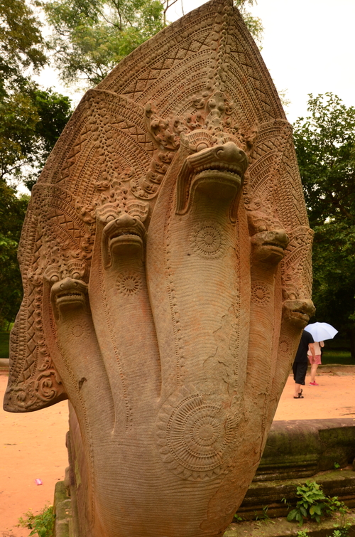 Head of Naga